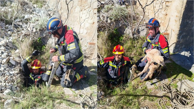 NESVAKIDAŠNJA AKCIJA Brački vatrogasci spasili janje iz četiri metra dubokog groba