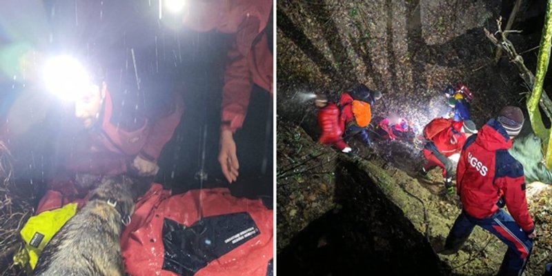 Nizozemska ovčarka Luna spasila nestalu osobu