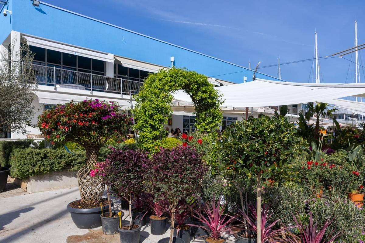 FOTOGALERIJA Više od 1000 posjetitelja na Proljetnom sajmu cvijeća i bilja u Marini Kaštela