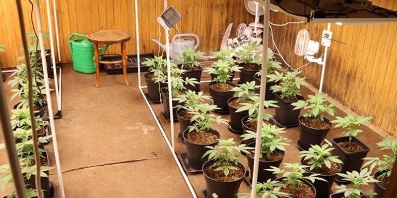 Policija pronašla laboratorij za uzgoj marihuane