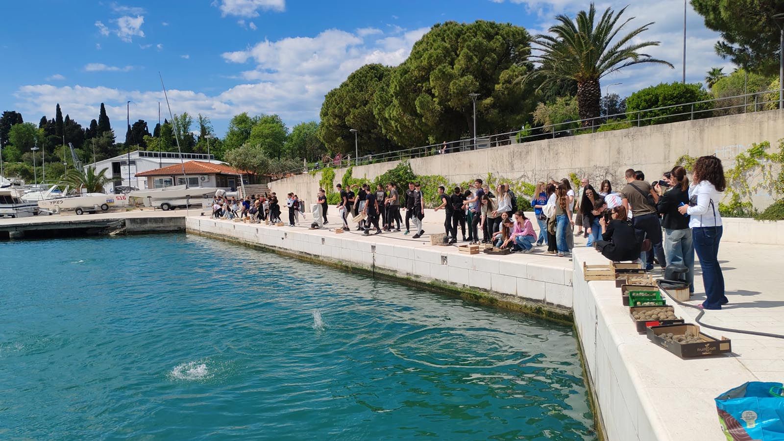 BIO kugle za budućnost: Ova akcija učenika splitske Pomorske škole na Dan planeta Zemlje oduševila je sve