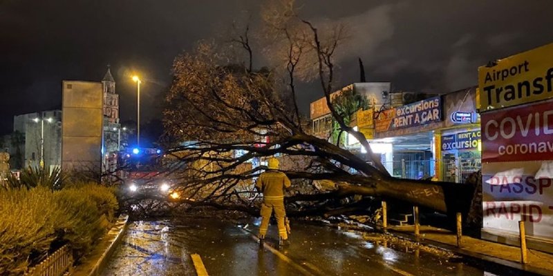 FOTO/VIDEO Velika šteta na Istočnoj obali, olujno jugo srušilo stablo na parkirane motore i štand