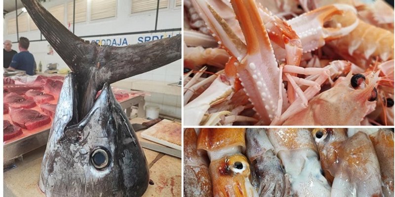 JESTE LI BILI NA PEŠKARIJI? Kažu da jedemo premalo ribe