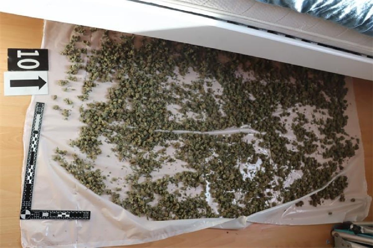 PAO PLANTAŽER Kod Slovenca u Umagu policija pronašla više od četiri kilograma marihuane