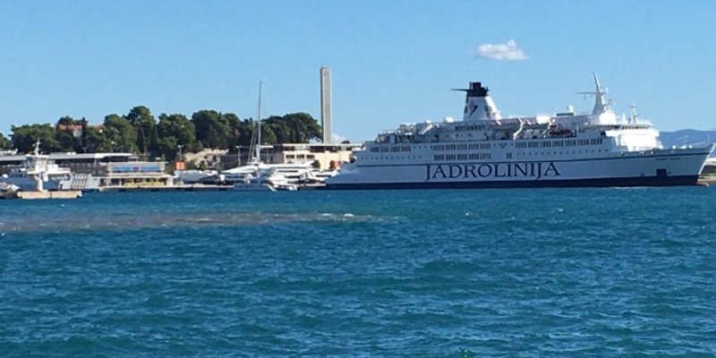 FOTO/VIDEO Mrlja u Trajetknoj luci