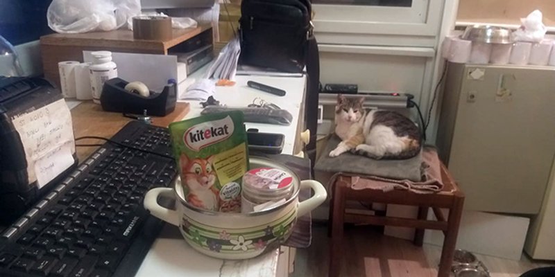 TEĆICA DOBILA NOVU FUNKCIJU Tomislav s parkinga: Ljudi je dolaze slikavat, baš im je baza!