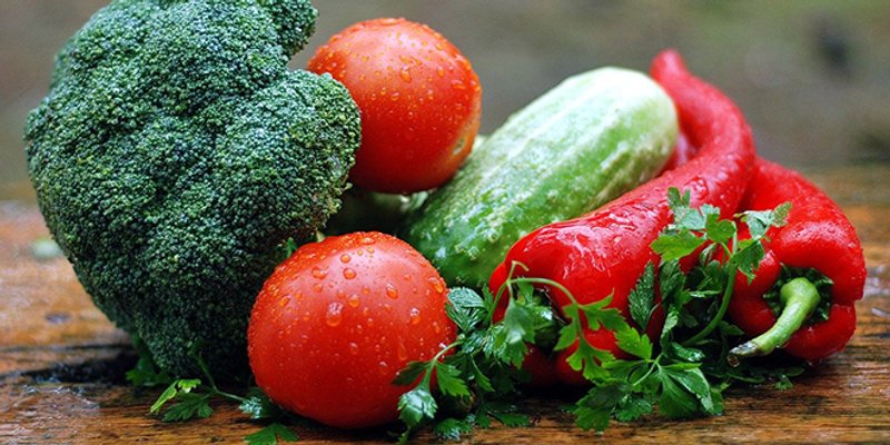 Počupao mu više od tisuću sadnice rajčice, tikvica i lubenica