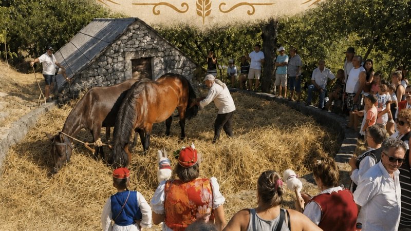U subotu se pridružite tradiciji vršidbe žita u biokovskom selu