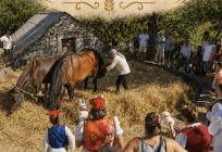 U subotu se pridružite tradiciji vršidbe žita u biokovskom selu
