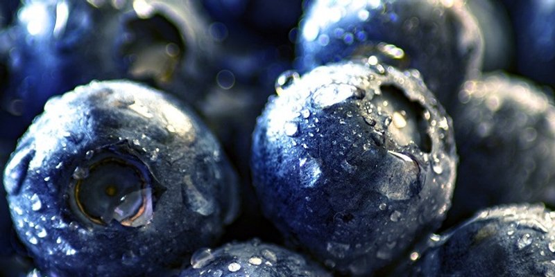 JEDNOSTAVAN RECEPT Cheescake s borovnicama