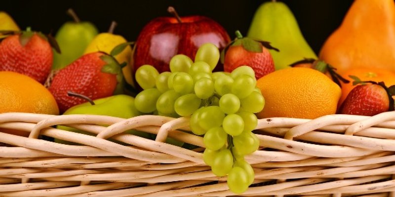 Kompletna organska i mineralna gnojidba voćaka i vinograda s osvrtom na gnojidbu agruma