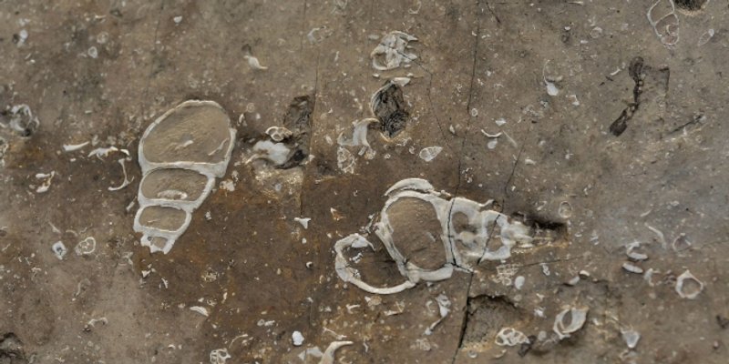 Aplikacija GeoCro: Uvrštena geološka točka od globalne važnosti u uvali Likva u Sutivanu