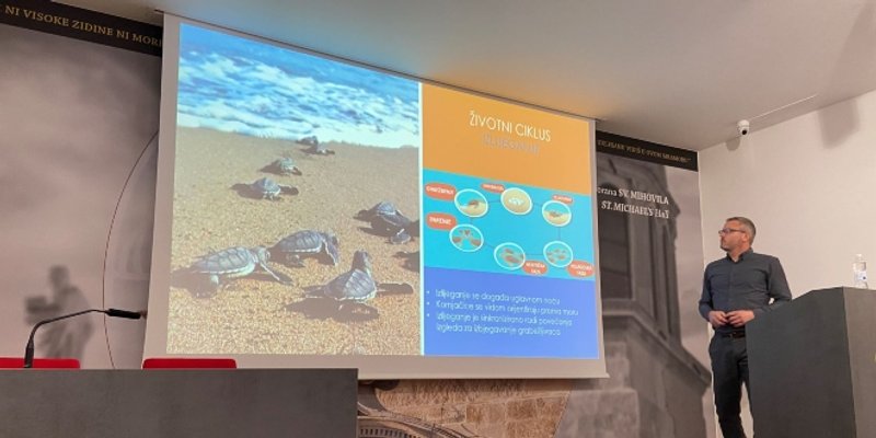 Rezultati istraživanja morskih kornjača u akvatoriju Šibensko-kninske županije