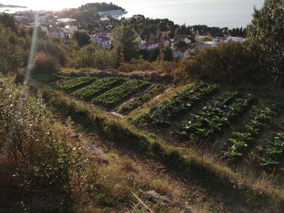 UDRUGA VLASNIKA ZEMLJIŠTA NA MARJANU: Apsurdno je da nas JU proziva za neodržavanje parcela