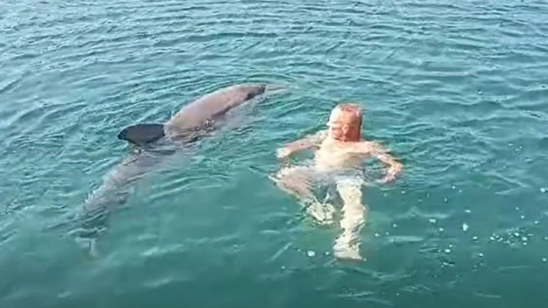 VIDEO Dupin stigao među kupače: 'Očito traži pomoć'