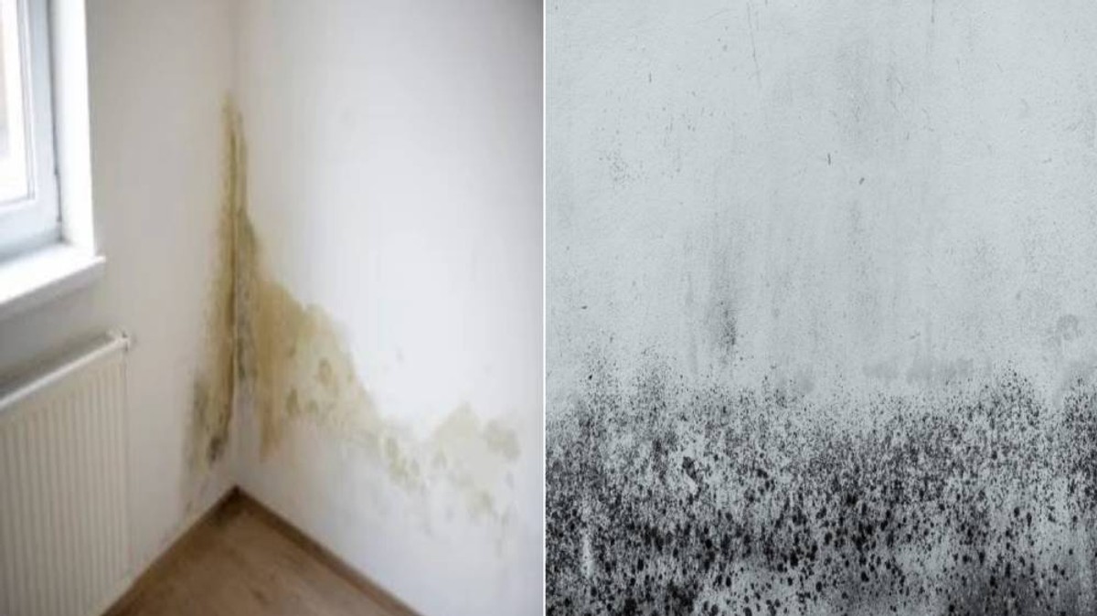 Zimi vam se magle prozori, a ljeti zrak stoji? I-Vent ventilacija s rekuperacijom to rješava efikasno - uz besplatnu montažu i 7 godina garancije