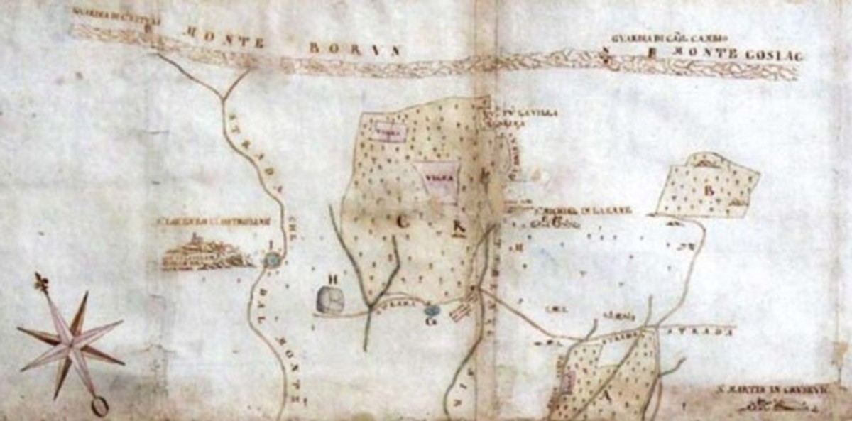 MATE BOŽIĆ: Zašto knez Trpimir nema odgovarajući spomen?