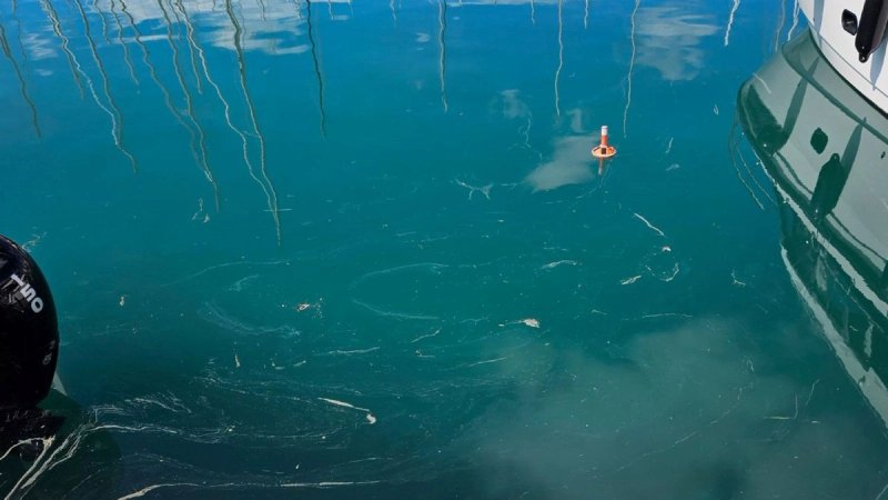 Koliki je zapravo utjecaj charter plovila na more?