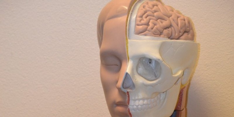 Ovi skriveni signali mogu otkriti mentalne bolesti jasnije od skeniranja mozga