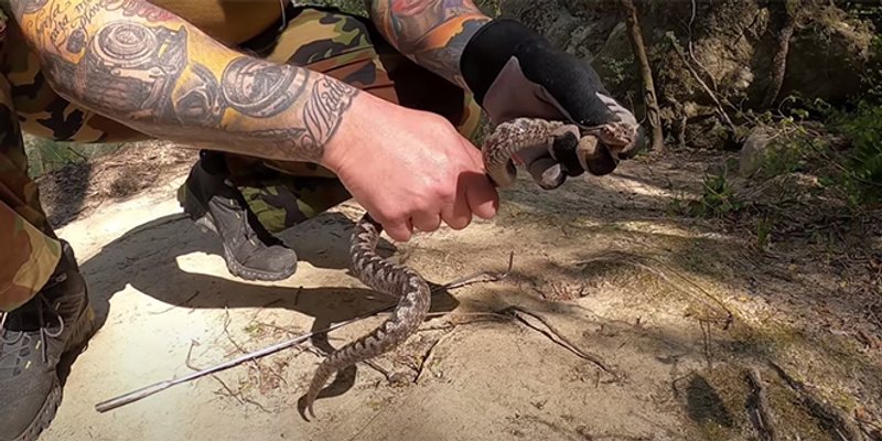 VIDEO Juka pokazao kako se lovi poskok: 'Ne pokušavajte ovo što sam napravio!'