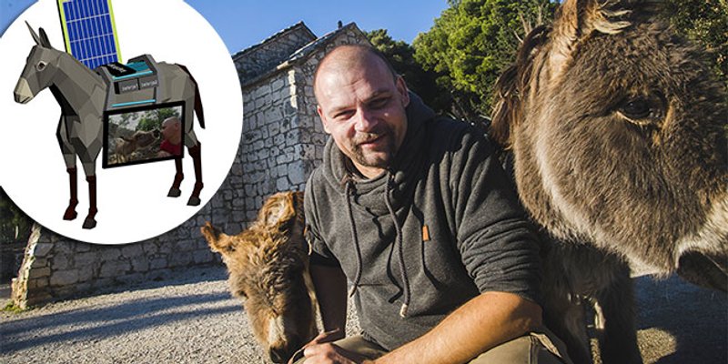 Cokarić se protivi stavu Zelenih Dalmacije: 'Solarni magarac' treba ostati na Marjanu!