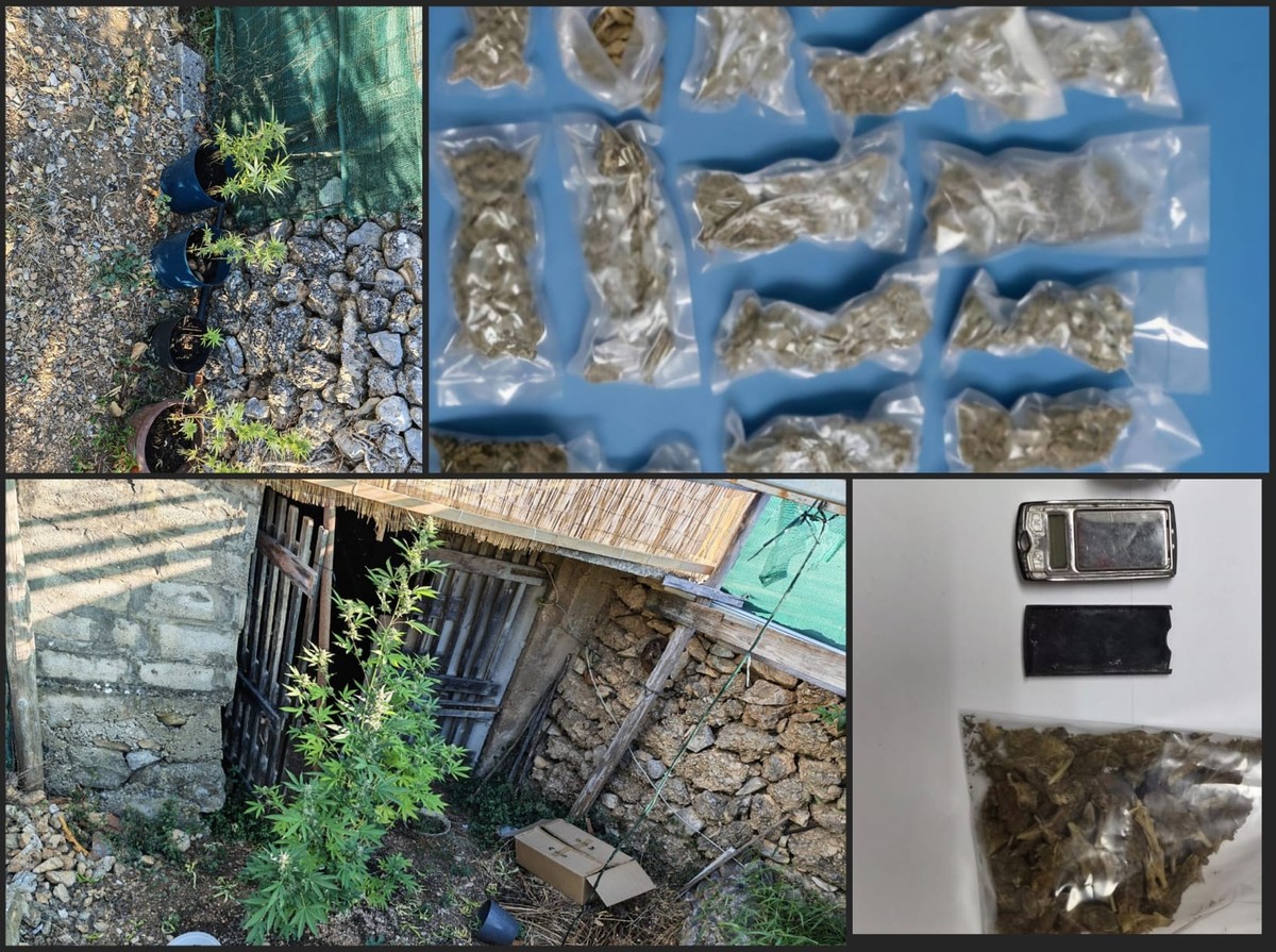 HVAR Četiri osobe predane pritvorskom nadzorniku zbog droge i oružja
