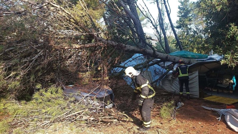 Pijavica poharala kampove na Lošinju: Dvije osobe ozlijeđene, srušeni deseci stabala