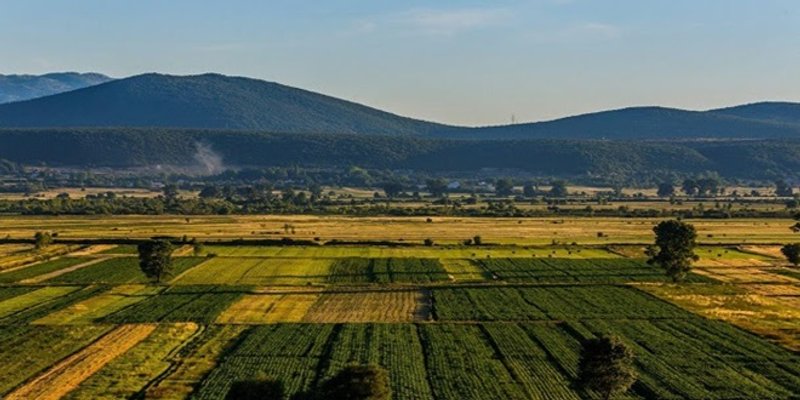 Objavljena prosječna cijena poljoprivrednog zemljišta u Hrvatskoj