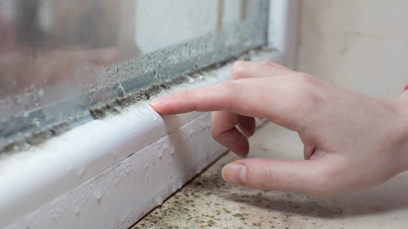 Dolaskom jeseni raste i problem vlage u domu – kvalitetna ventilacija postaje važnija