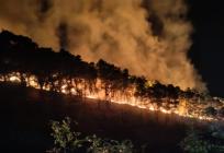 Velik požar na Braču, podignuta četiri kanadera: 'Brzo se proširio'