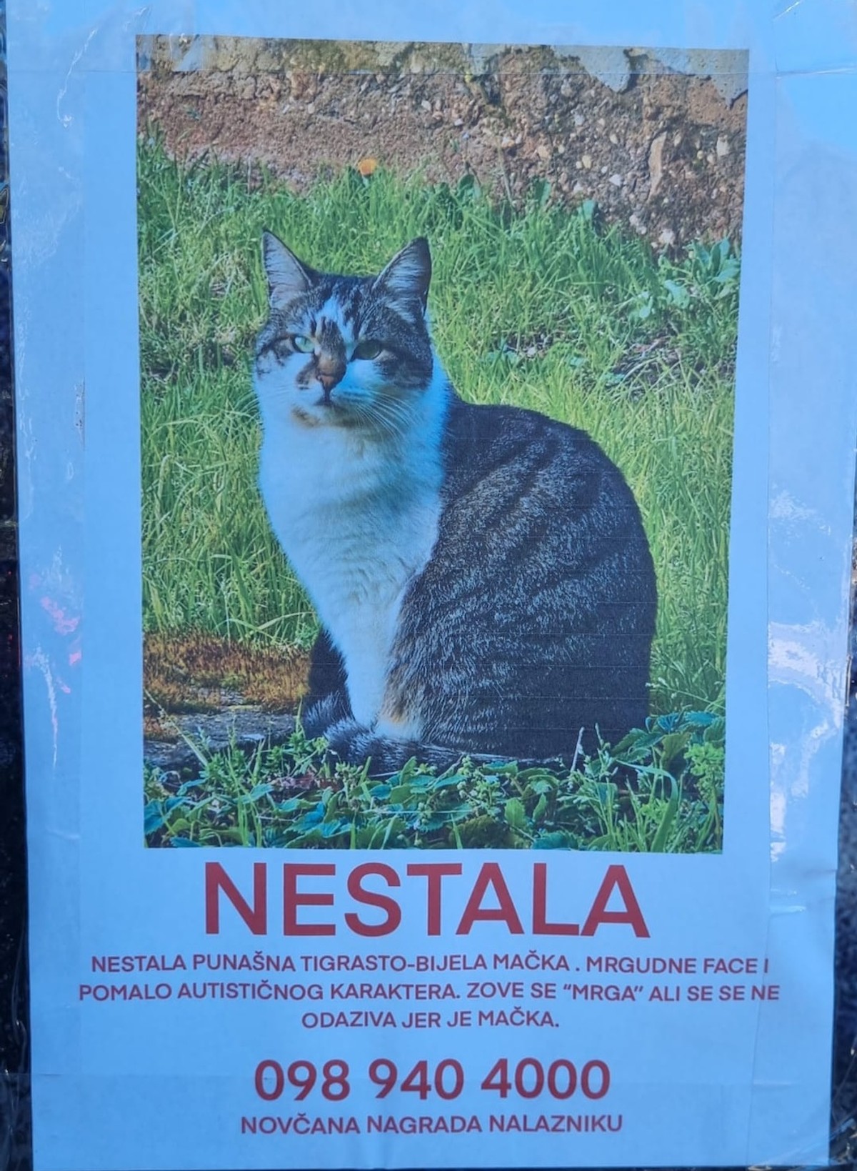 NESTALA MRGA Oglas na zadarskim Stanovima nasmijao prolaznike