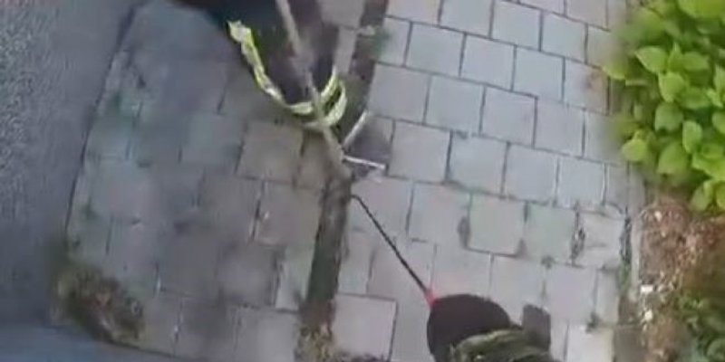 VIDEO Pogledajte 'borbu' vatrogasaca iz Žrnovnice i zmija