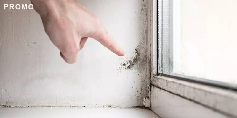 Kako je Livio iz Marčane uklonio vlagu i plijesan u svom domu i apartmanu?