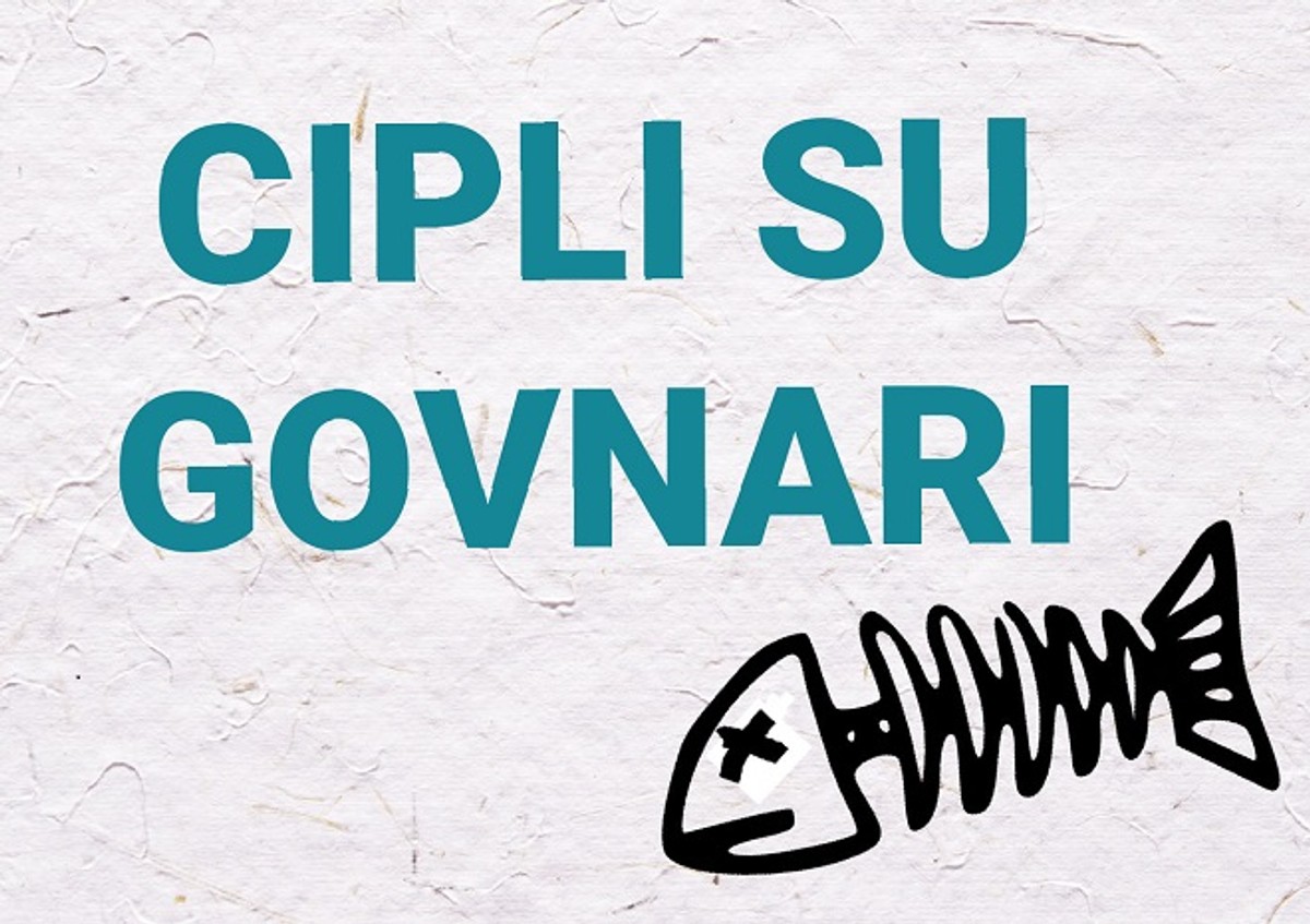 PAL' BAGER, PAL' PIKAMER Novi prosvjed u uvali Vruja