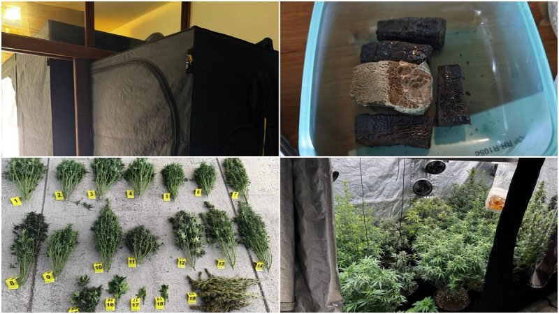 Sedmero uhićenih zbog droge na području Splita, Solina i Hvara