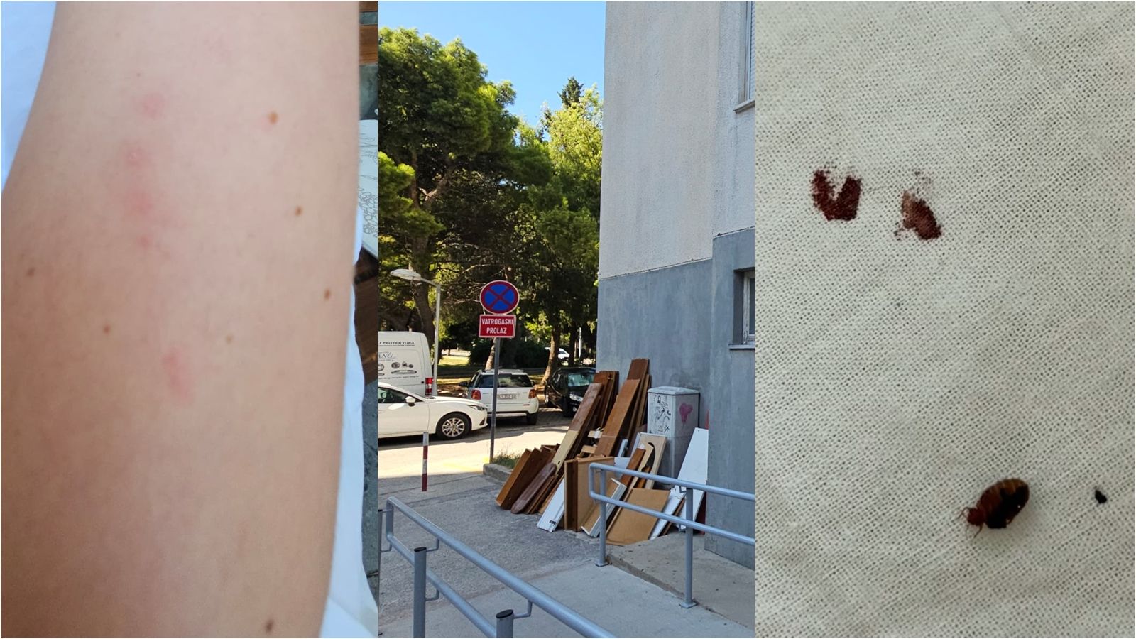 Stanari traže pomoć zbog najezde stjenica u splitskom kvartu: 'Puni smo ugriza'
