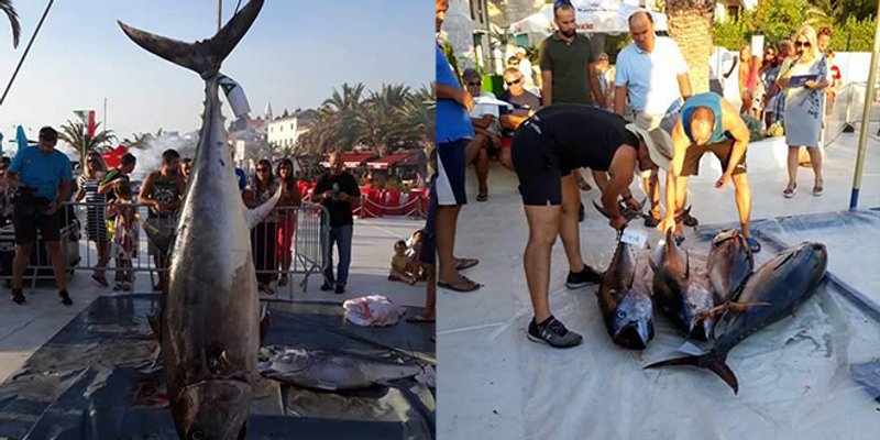 Najveću tunu ulovila posada broda 'Nikad dosta', izvukli su kapitalca od čak 62,4 kilograma!