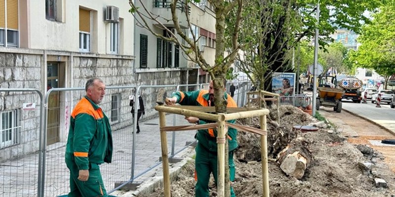 Odvjetnica Maja Smrke preuzima Parkove i nasade? 