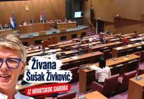 Buran završetak maratonskog zasjedanja: Usvojen zaključak vladajuće većine, zastupnik Sabor nazvao kokošinjcem, na tapetu i Kustić