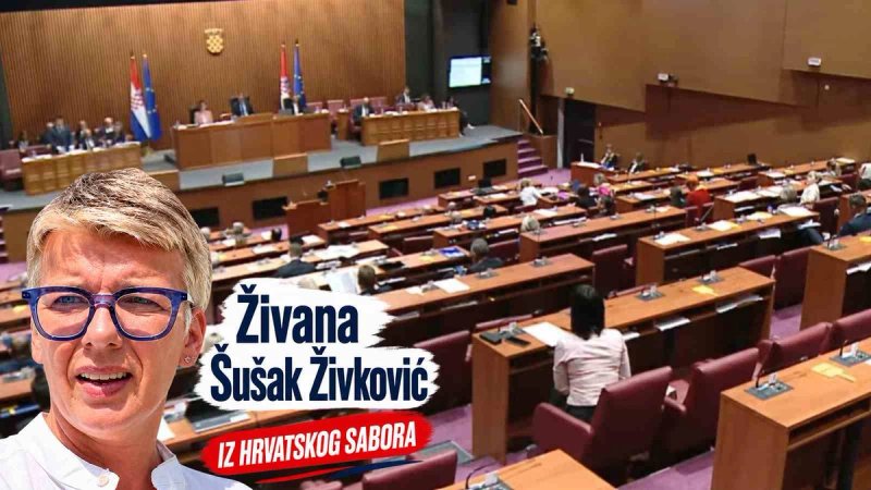 Buran završetak maratonskog zasjedanja: Usvojen zaključak vladajuće većine, zastupnik Sabor nazvao kokošinjcem, na tapetu i Kustić