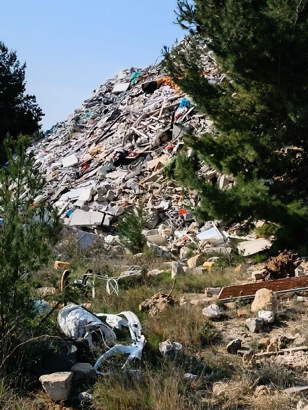 Dušica Radojčić (Možemo!)