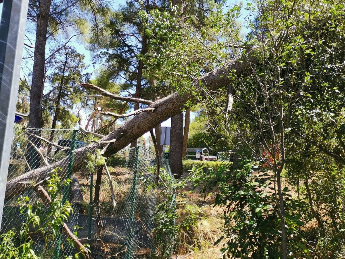 Posljedice nevremena na Marjanu