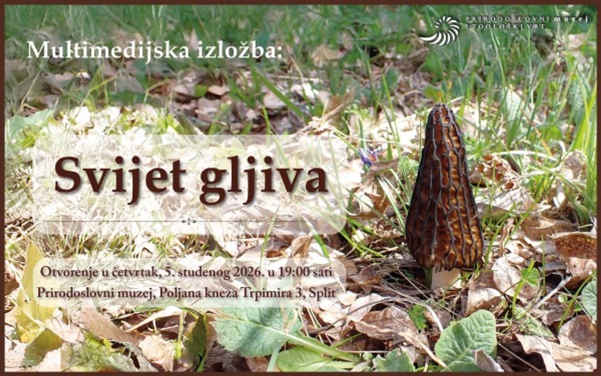 U splitskom Prirodoslovnom muzeju otvara se izložba 'Svijet gljiva'