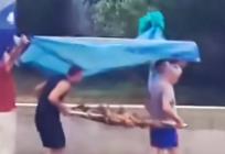 VAŽNO JE ODREDITI PRIORITETE Janje ne smije pokisnuti!