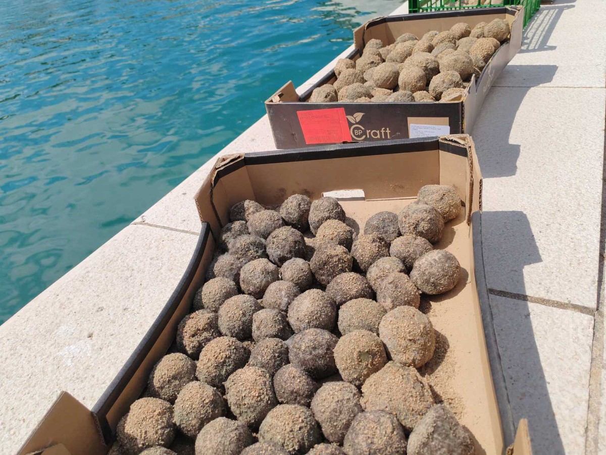 BIO kugle za budućnost: Ova akcija učenika splitske Pomorske škole na Dan planeta Zemlje oduševila je sve