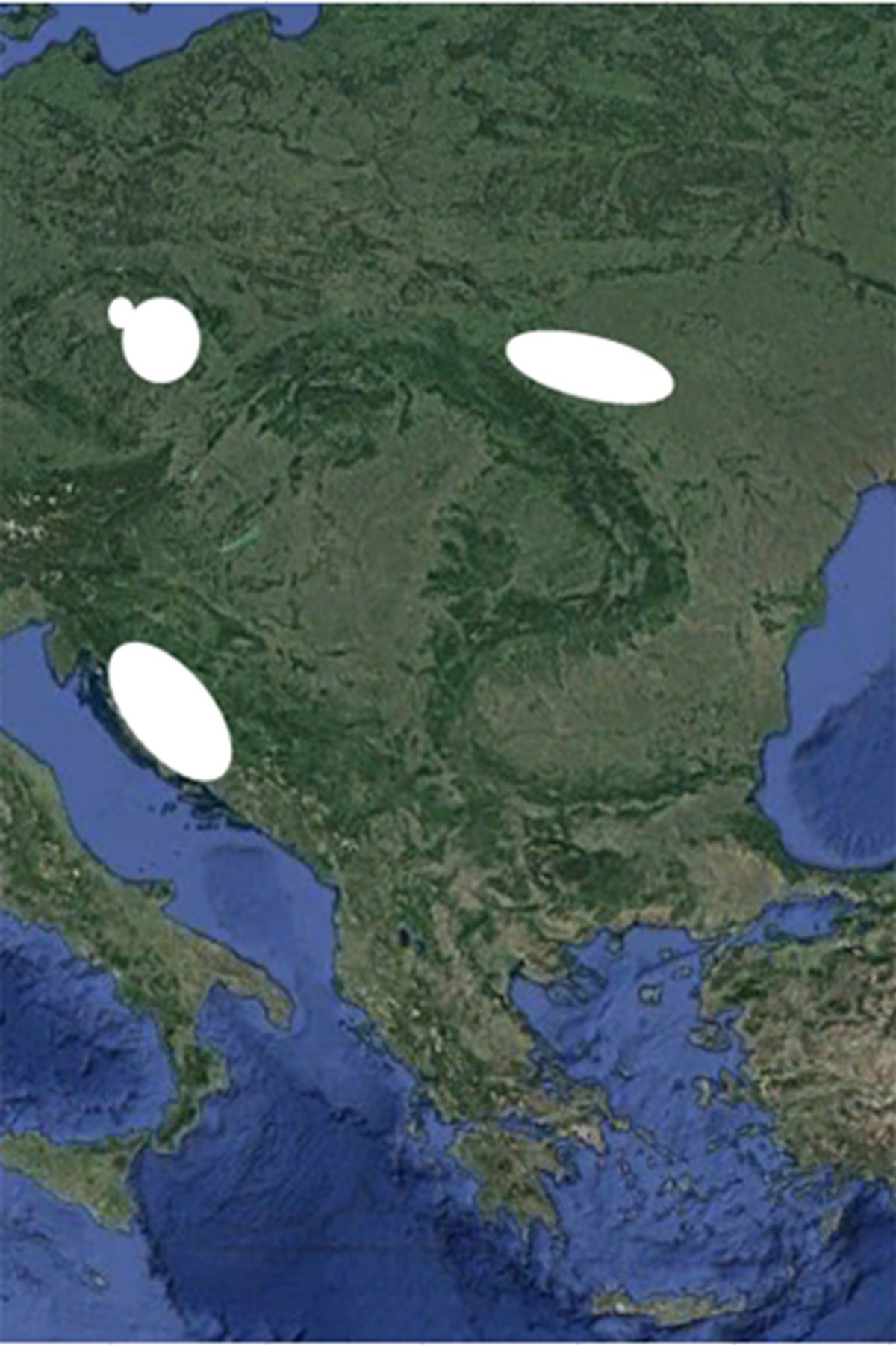 MATE BOŽIĆ ZA DALMATINSKI PORTAL Što znači riječ Hrvat, kada se prvi put spominje i što povjesničarima stvara nedoumice?