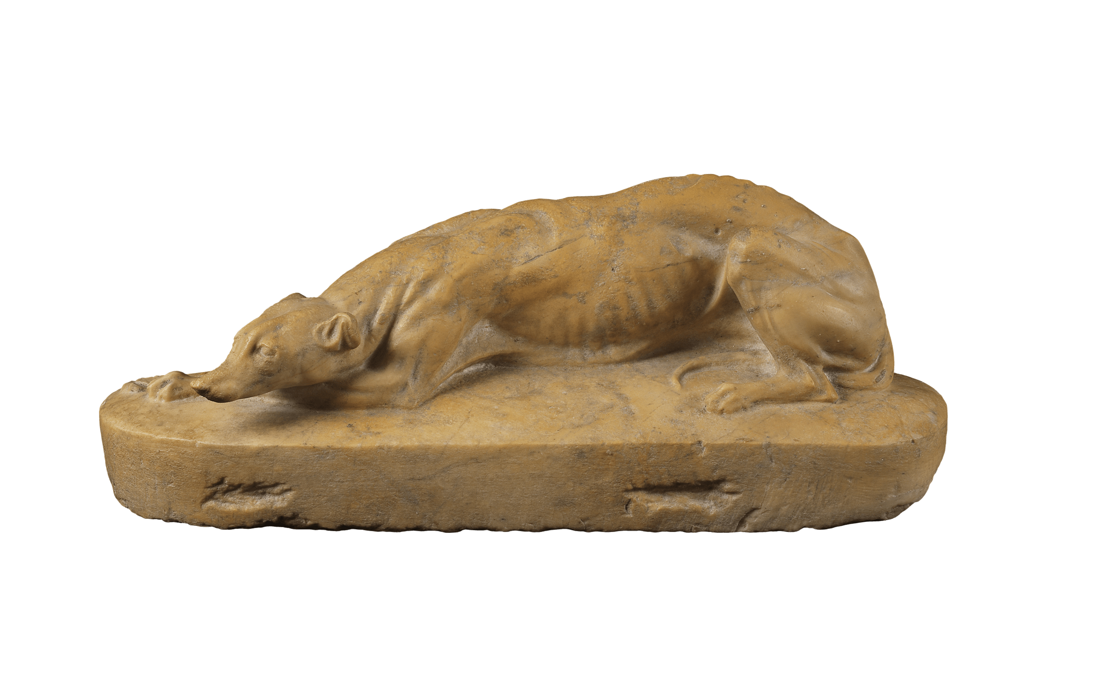 Statue of a dog 1 | Fondazione Santarelli