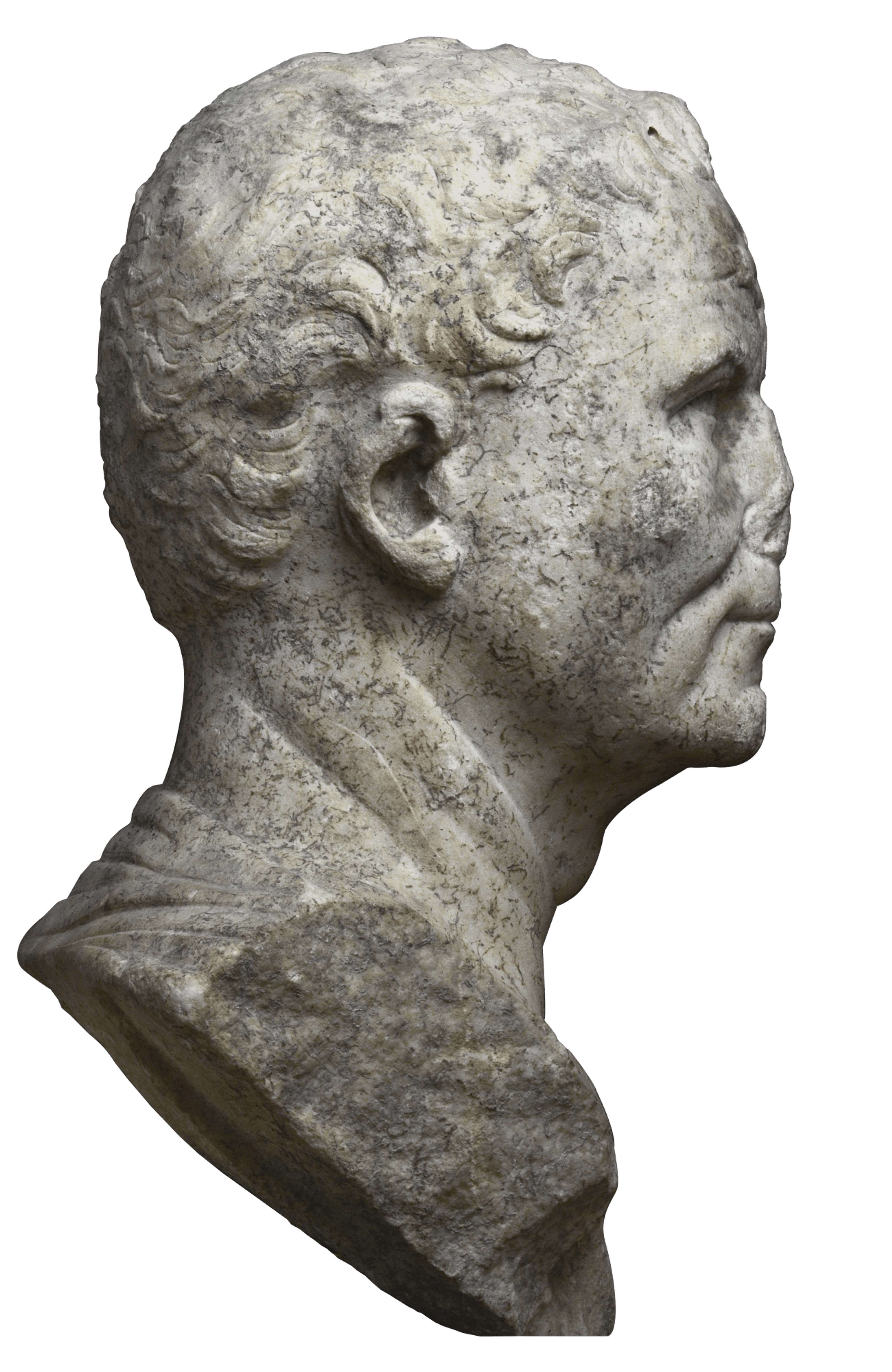 Busto maschile 2 | Fondazione Santarelli