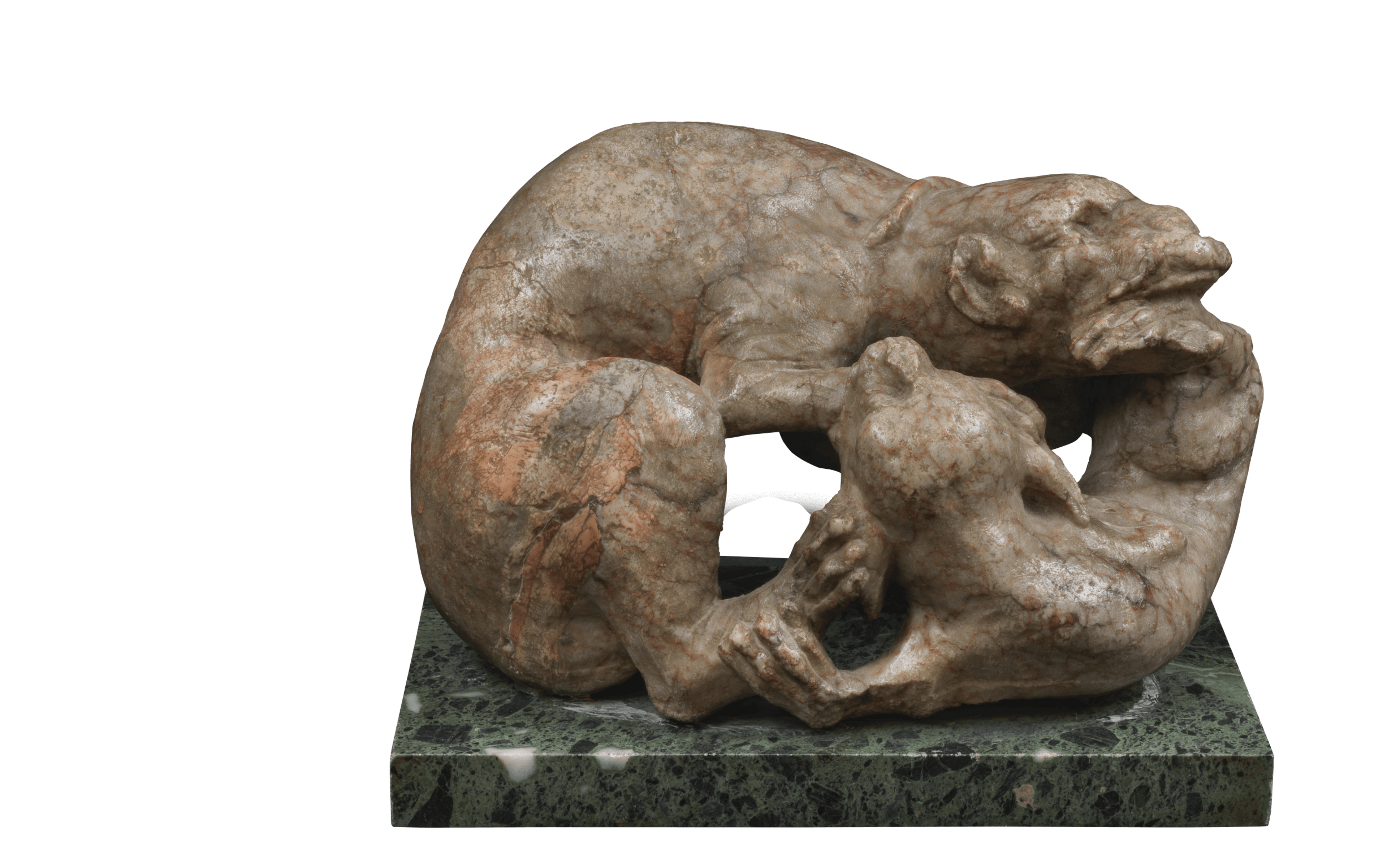 Gruppo marmoreo con lotta fra cani 1 | Fondazione Santarelli