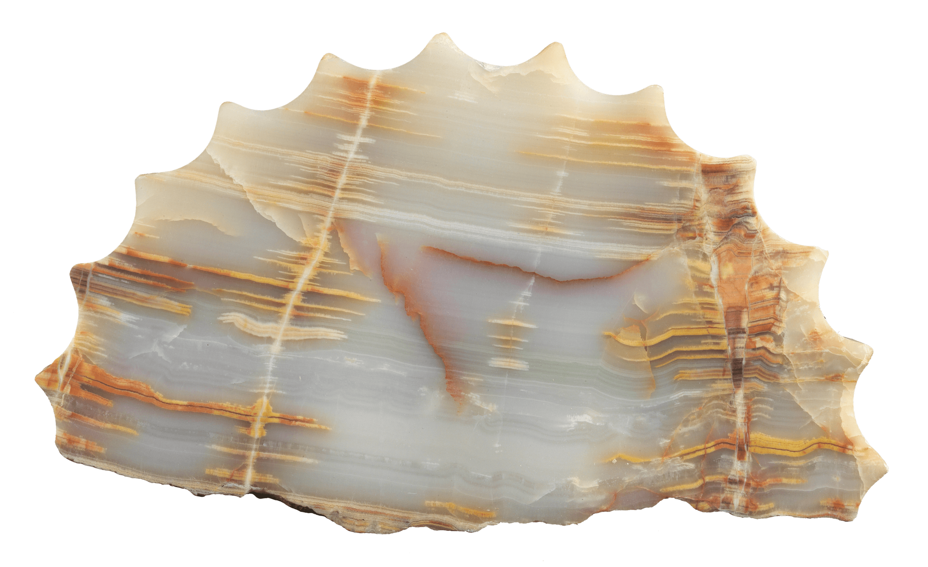 Serrated colum slice